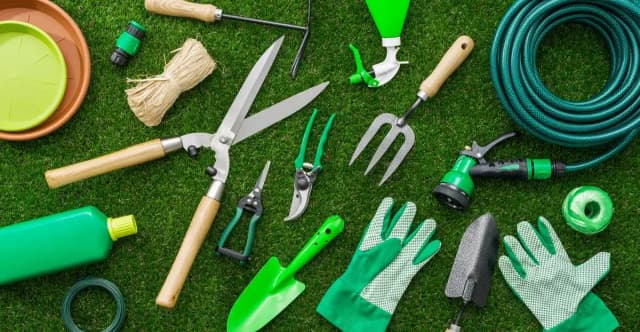 Essential Tools Every Beginner Gardener Should Own