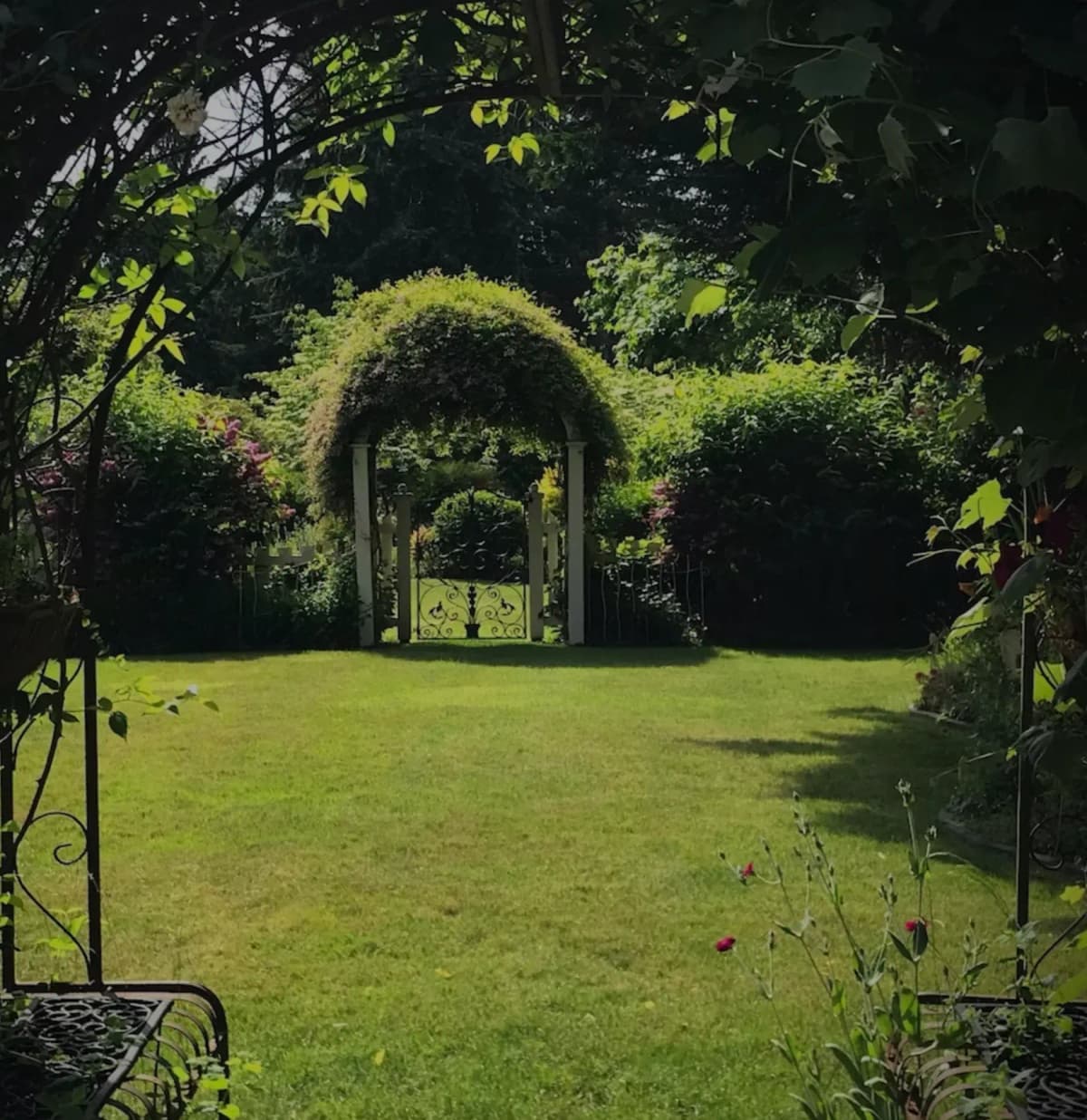 Lush garden path with wooden archway